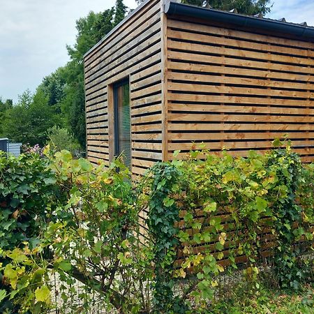 Lodge Au Vent Savigne-l'Eveque Exteriör bild
